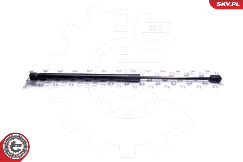 Gas Spring, boot/cargo area